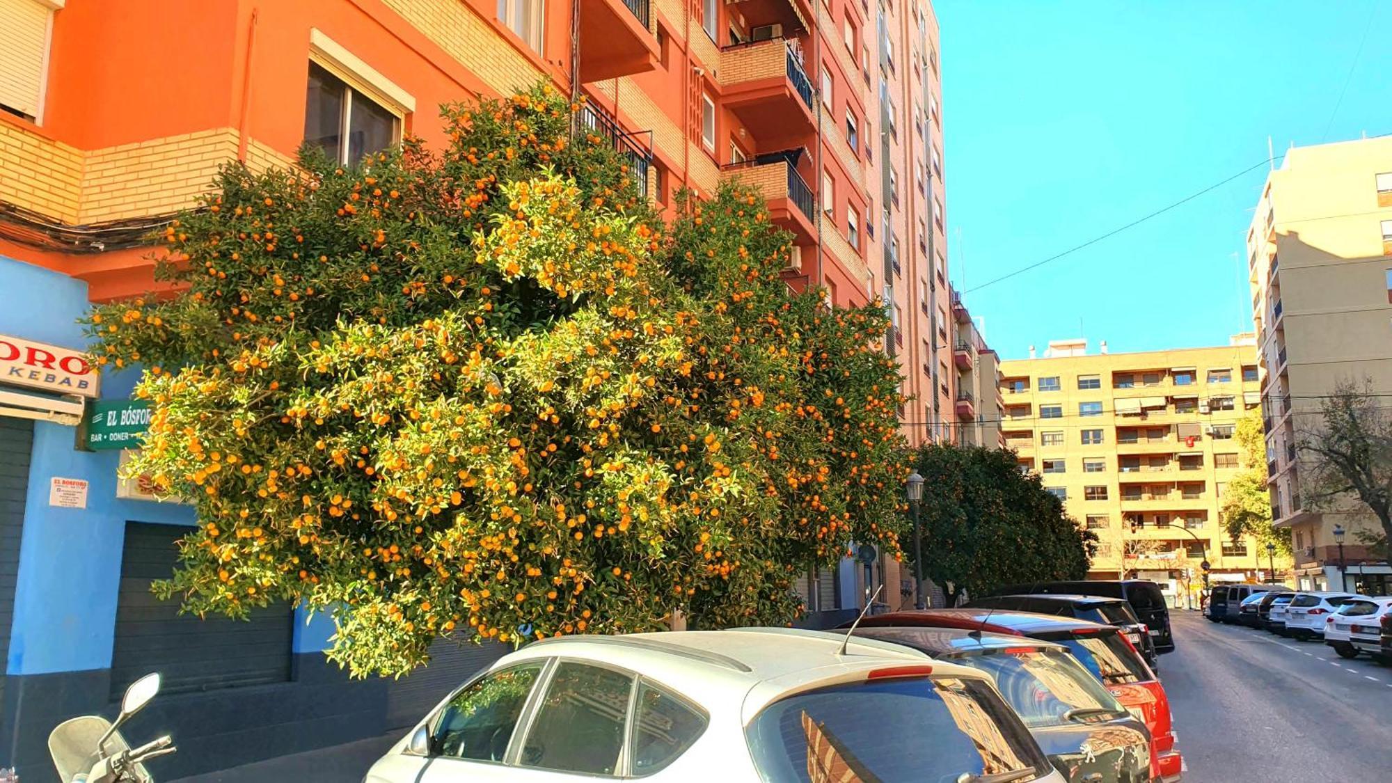 Nuevo Apartamentos Costa Del Alma Valencie Exteriér fotografie