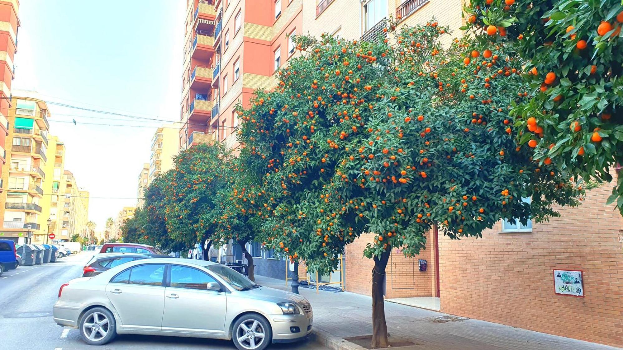 Nuevo Apartamentos Costa Del Alma Valencie Exteriér fotografie